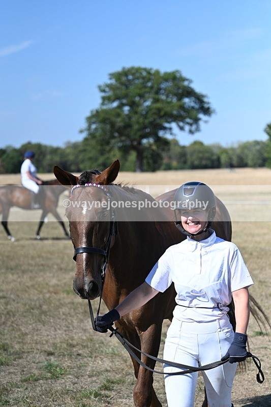 WJ7_1503 - Class 42 Most Handsome Gelding
