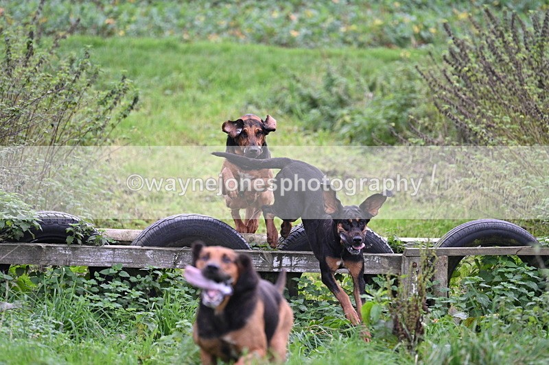 WJ7_8937 - Camera 1 only on this line