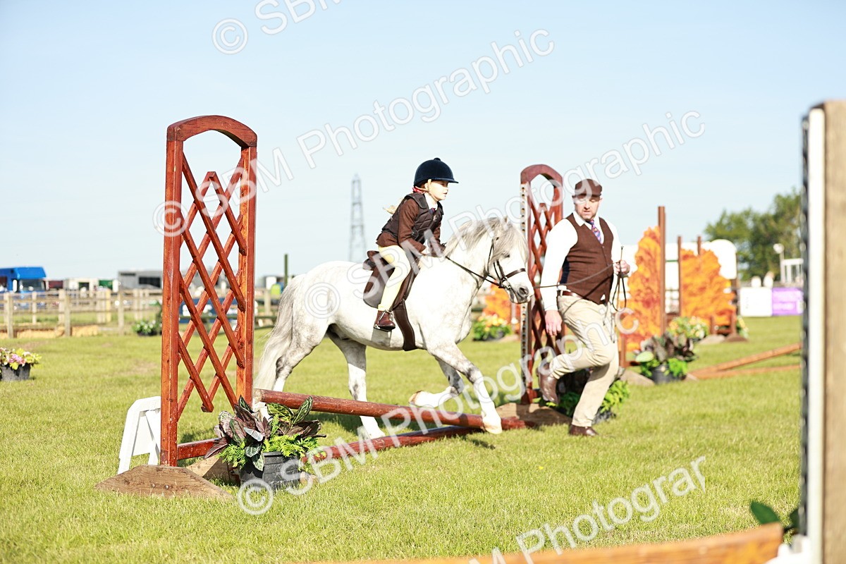 SBM_11135 - Class 106-107 - BSPS LIHS Working Sports Pony