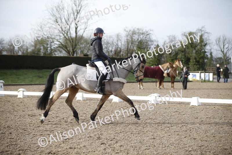 20260127-0355 - Class 16 - BD Novice 2