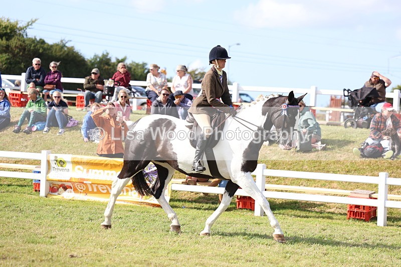 3E7A3835 - Supreme Championship