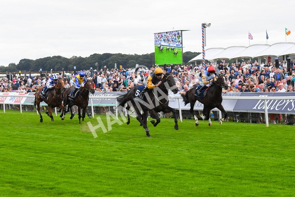 230823-Race 2-Indian Run-0335 - Race 2 2.25pm Tattersalls Acomb Stakes