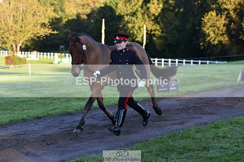 231022-085410-21437 - 614-MICRON.JOY-Ellie.Mitchell-TrotUp+SJ