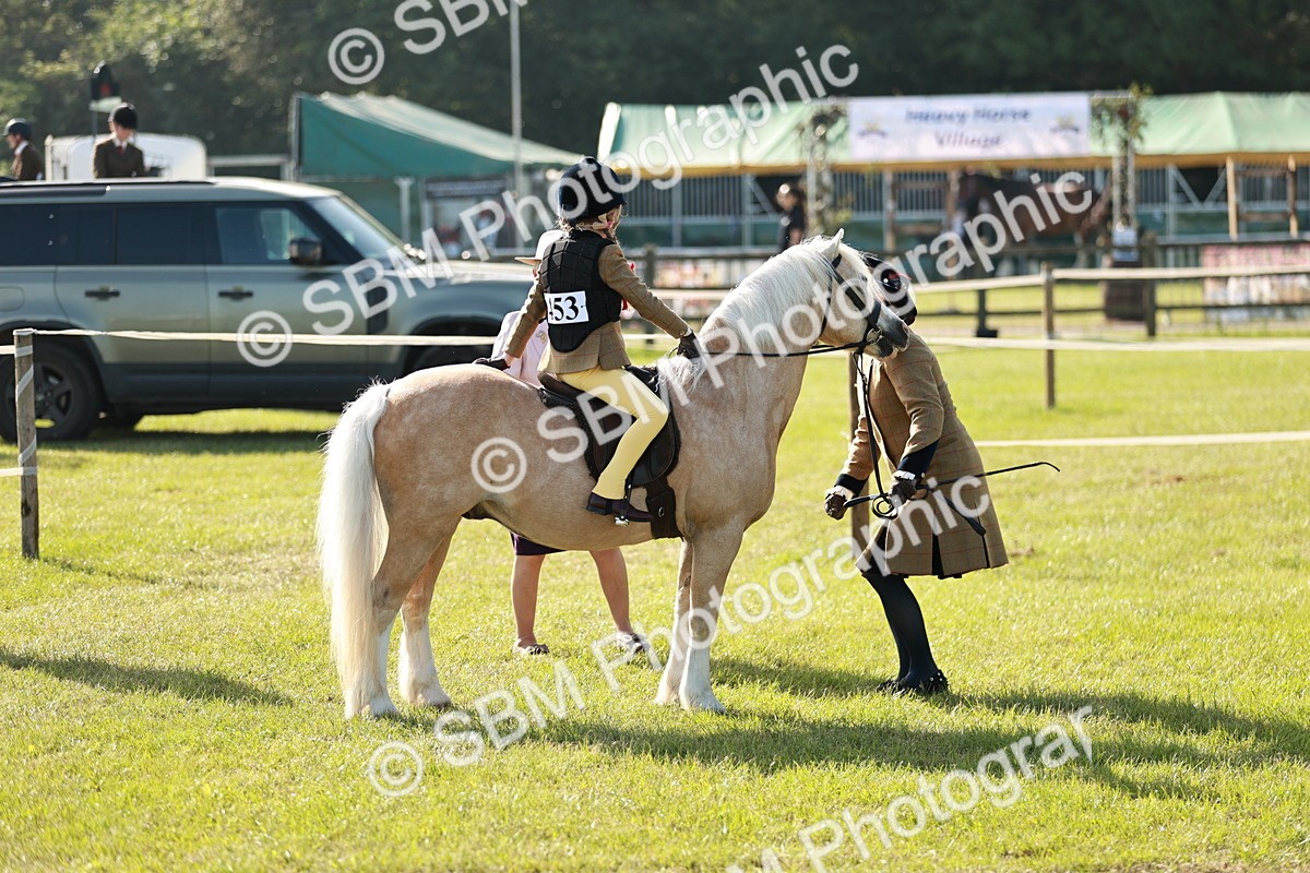 SBM_11238 - Class 106-107 - BSPS LIHS Working Sports Pony