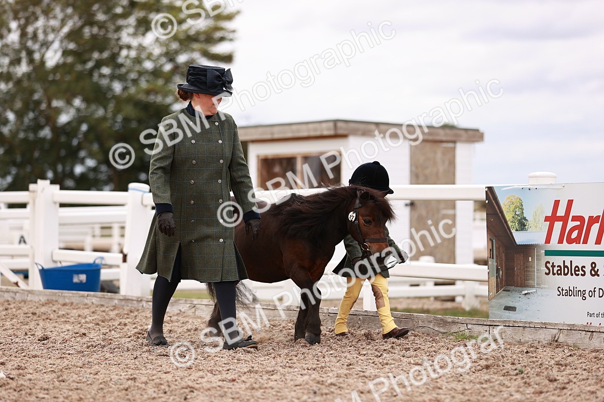SBM_18555 - Class 421 - Childs Best Friend - Jnr
