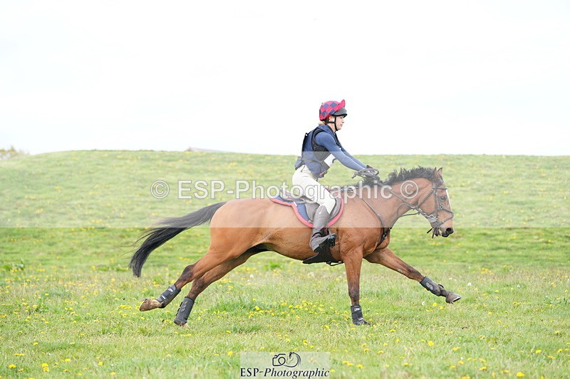 250419-150452-12375 - 811-Grace.Williams-RUSSIAN.ROULETTE.II