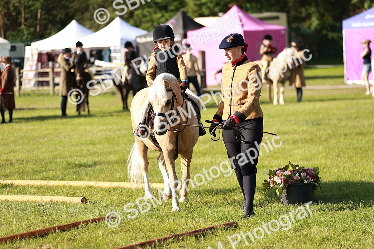 SBM_11119 - Class 106-107 - BSPS LIHS Working Sports Pony