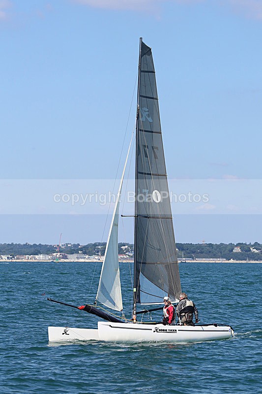 150906 770 HOBIE TIGER WT7A0826 - Sailboats - multihull