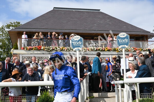 yr18082021r3-6 - Race 3 3.00pm Sky Bet Great Voltigeur Stakes