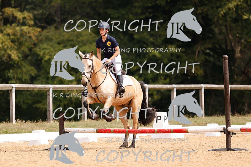 _R6A2828 - Dressage Morning