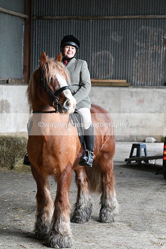 WJ7_8664 - Berks & Bucks - Rowles Farm 15-02-26