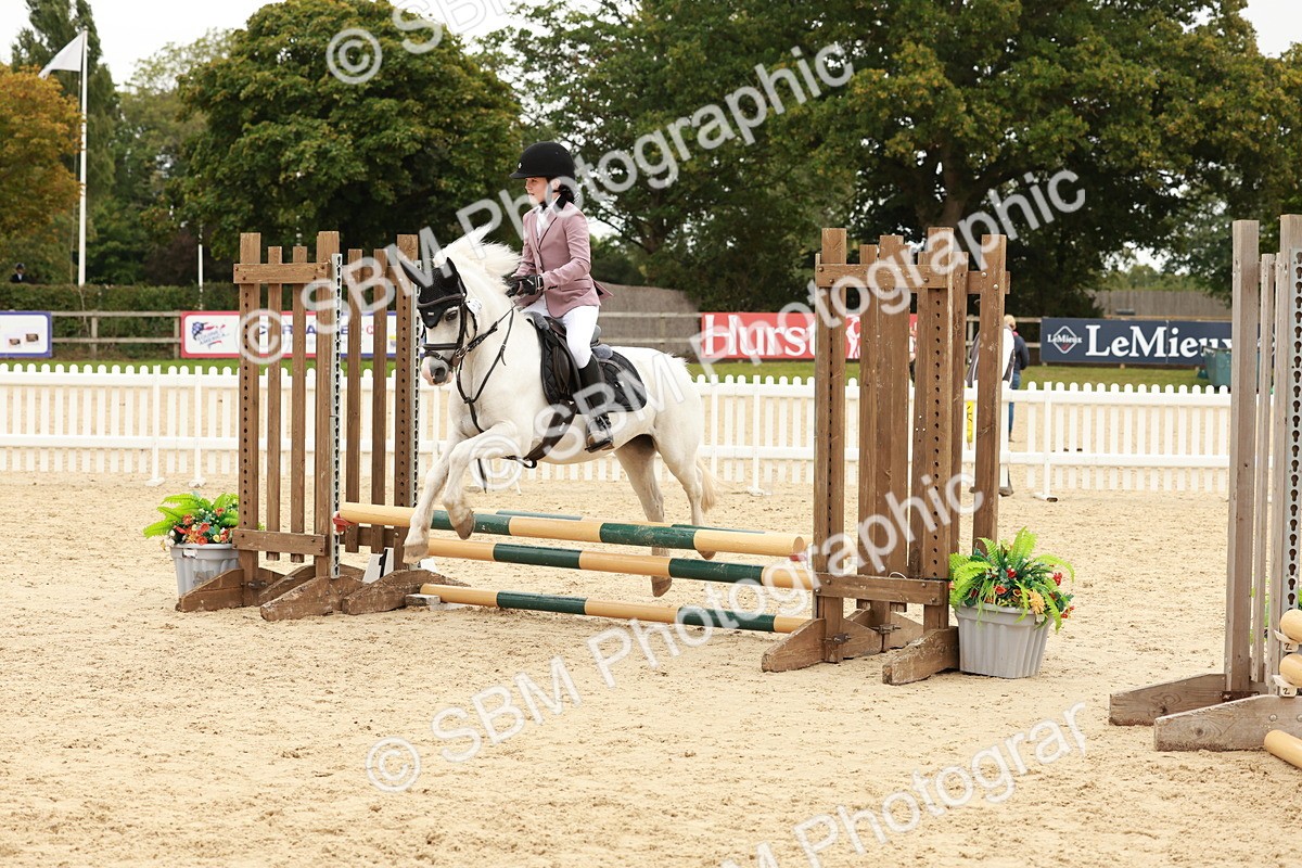 SBM_65226 - Supreme Championship 50cm & 55cm