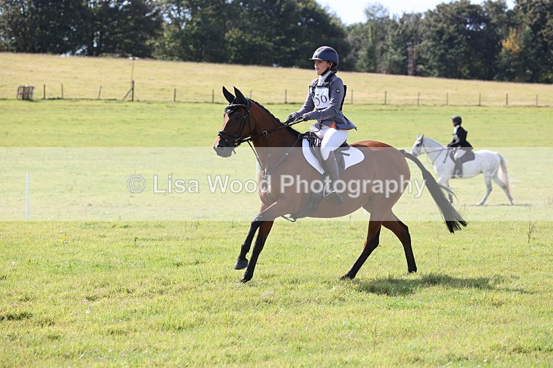 JPP_8746 - Class 2: Trekenning: 80cm Showjumping