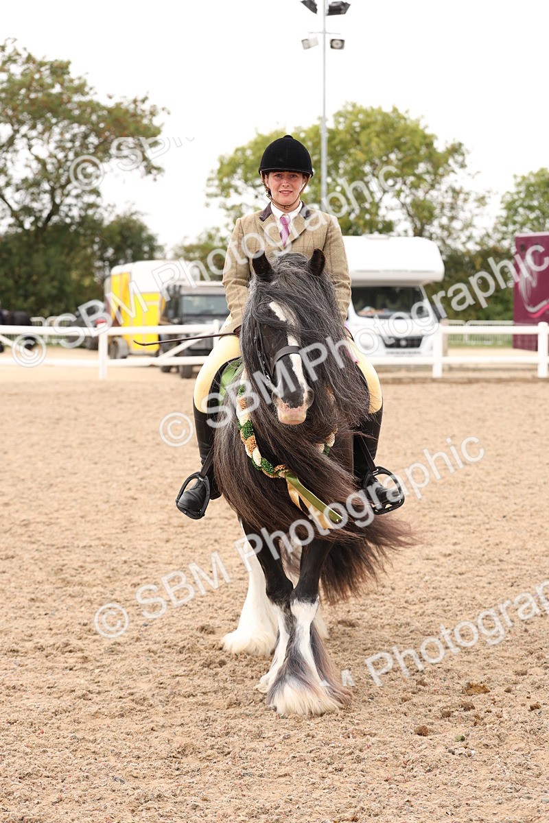 SBM_19742 - Class 216 - Ridden Traditional - Native Cob