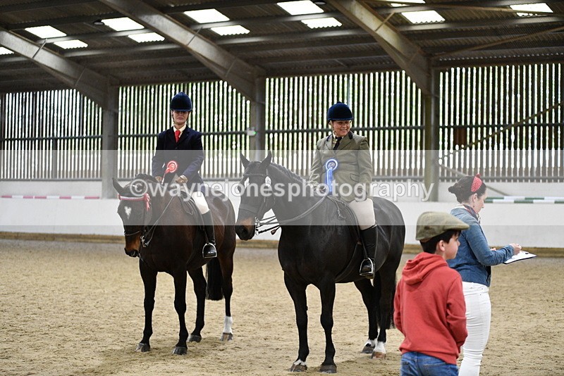 WJ5_8107 - Class 13 Ridden Part Breed