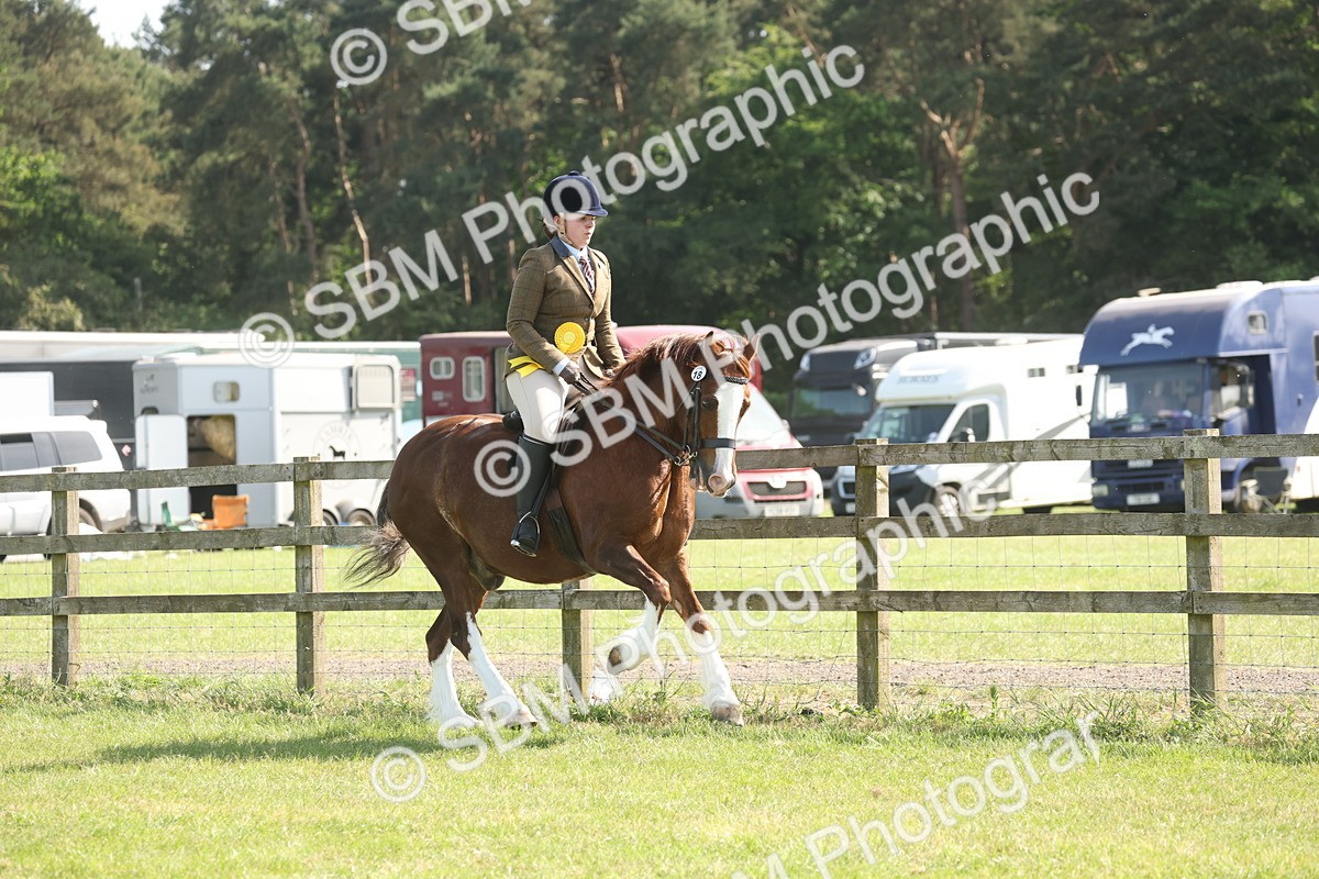 SBM_09621 - Class 33-38 - SSADL RIHS Qualifiers