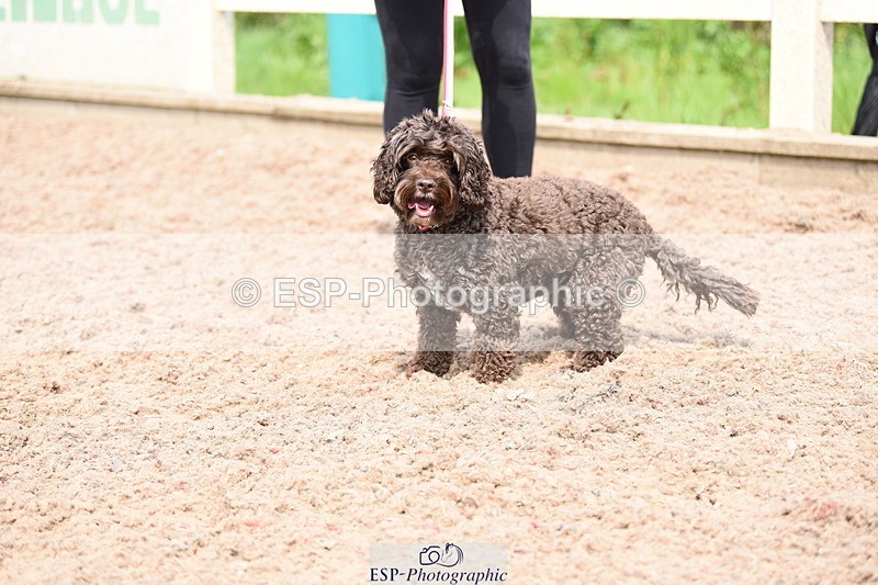 240518A-115212-00849 - Cls 2 Prettist Bitch