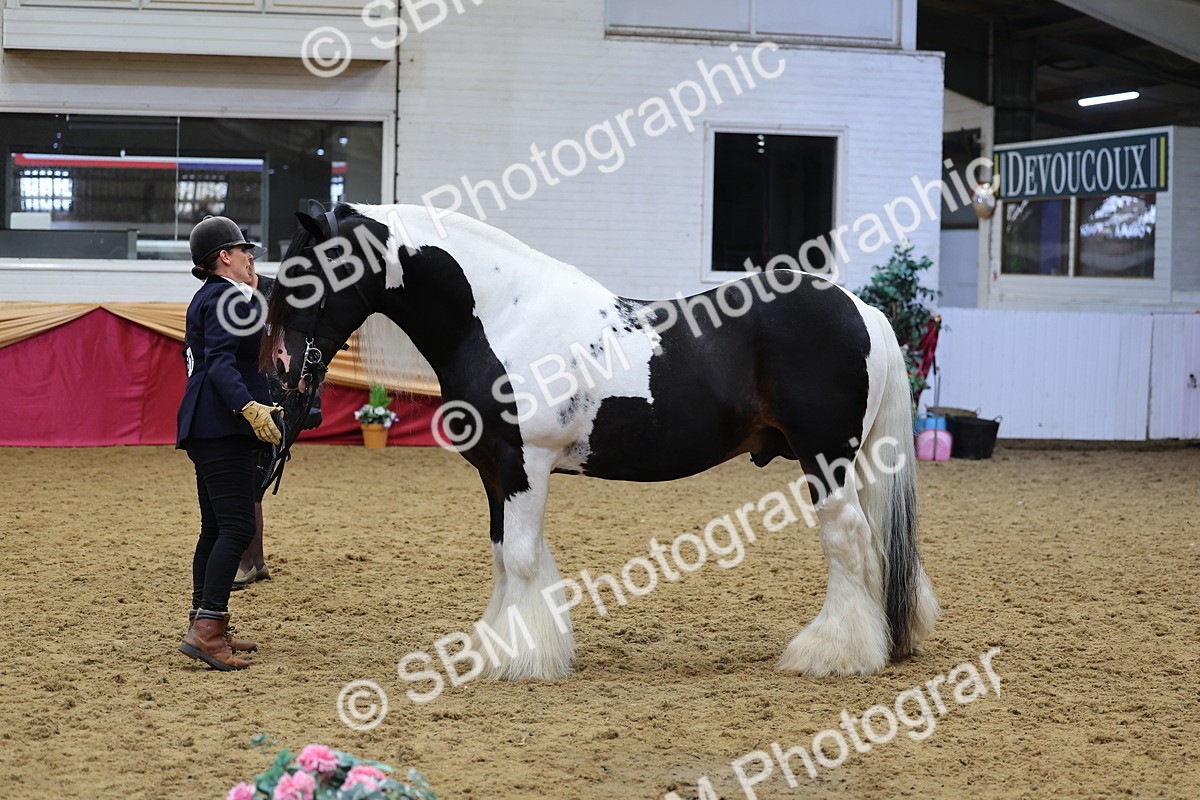 SBM_22754 - Class 903 - Supreme Final - IH Pre Vet