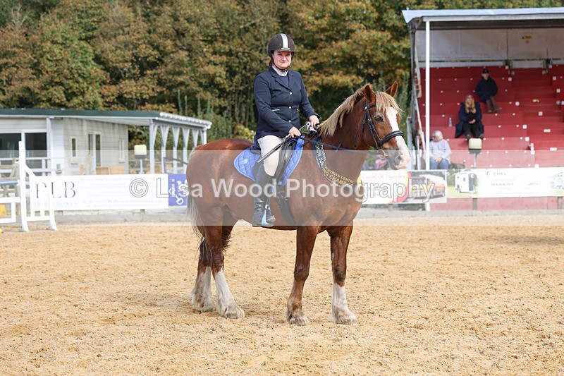 3E7A3706 - Class 5: 60cm Senior