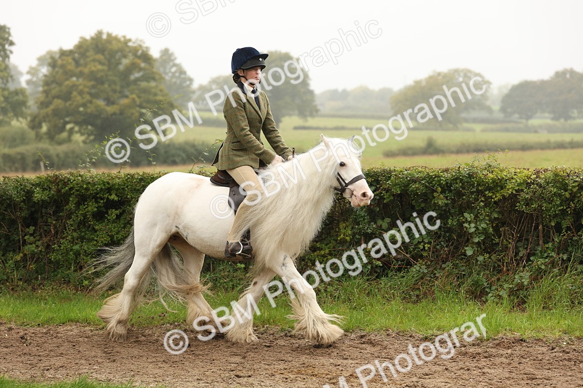 SBM_72698 - S70 - Traditional Cob Ridden