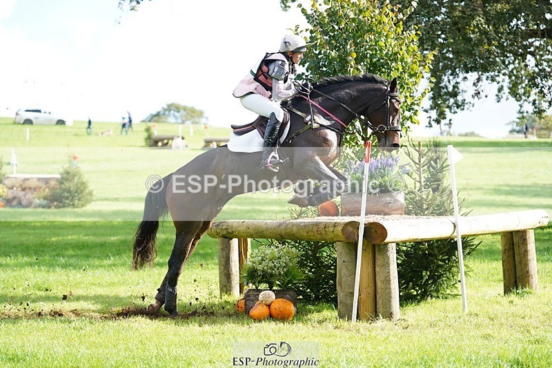 231020-115806-07005 - 057-OVERTON.TILANA'S.GOLD-Claire.Deuten-XC