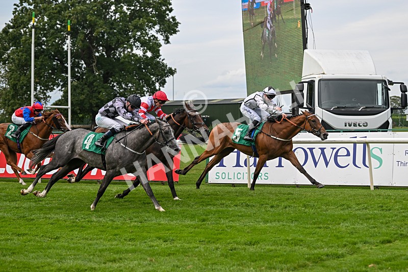 060925-Race 1-Dunkeld Dreamer-4185 - Race 1