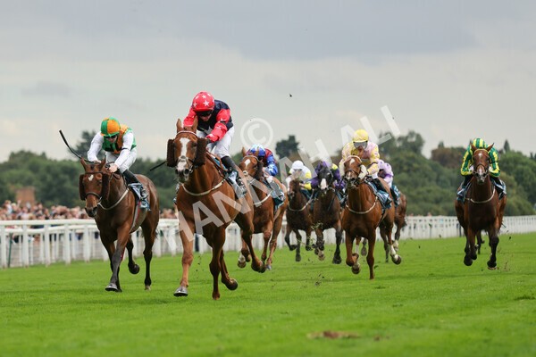 yr04092022r5-29 - Race 5 4.05pm Little Green Rascals Children's Nurseries Stakes