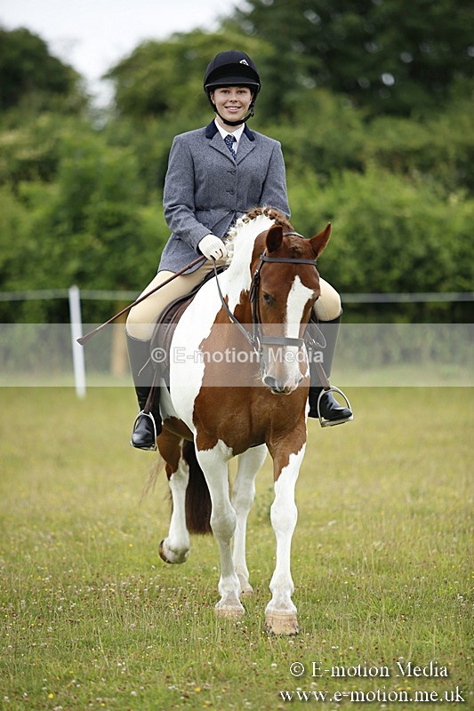 BVR160717-71 - Ring 1 BVRC Show 16/07/17