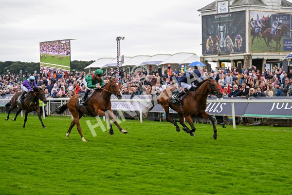 210824-Race 4-City Of Troy-5130 - Race 4 3.35pm Juddmonte International Stakes