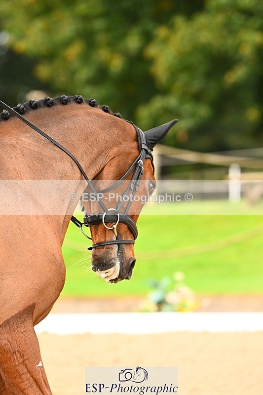 231021-100002-12934 - 330-TRINITY.THANKS.AWFULLY-Imogen.Gloag-DR