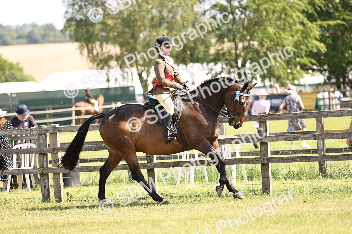 SBM_13075 - Class 75-76 LIHS BSHA Rising Star Hack Riding Horse