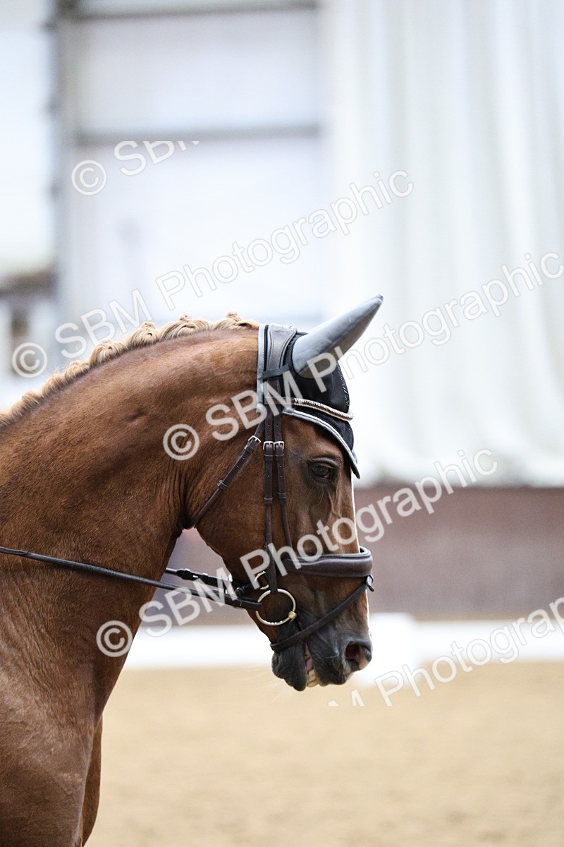 SBM_001261 - Class 5 - Novice 6