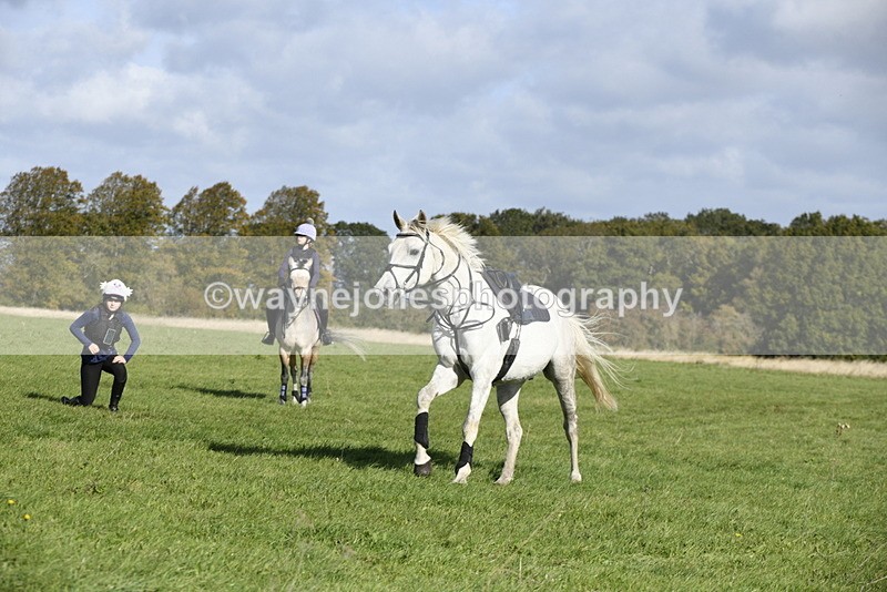 _DSC5467 - Time 10:49 to 11:23