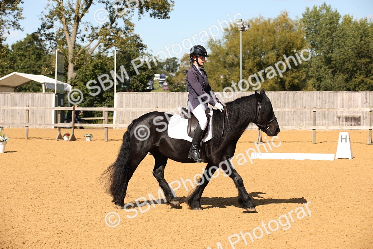 SBM_24165 - D5 - Small Tour Championship - Intro C