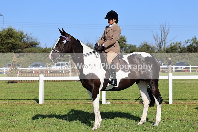 IMG_1341 - Class 27: Ridden Plaited Coloured Horse