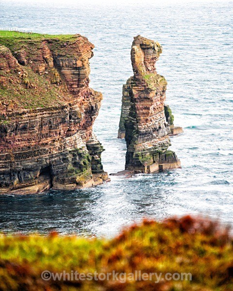 Sea Stack at John O Groats - Scottish Highlands