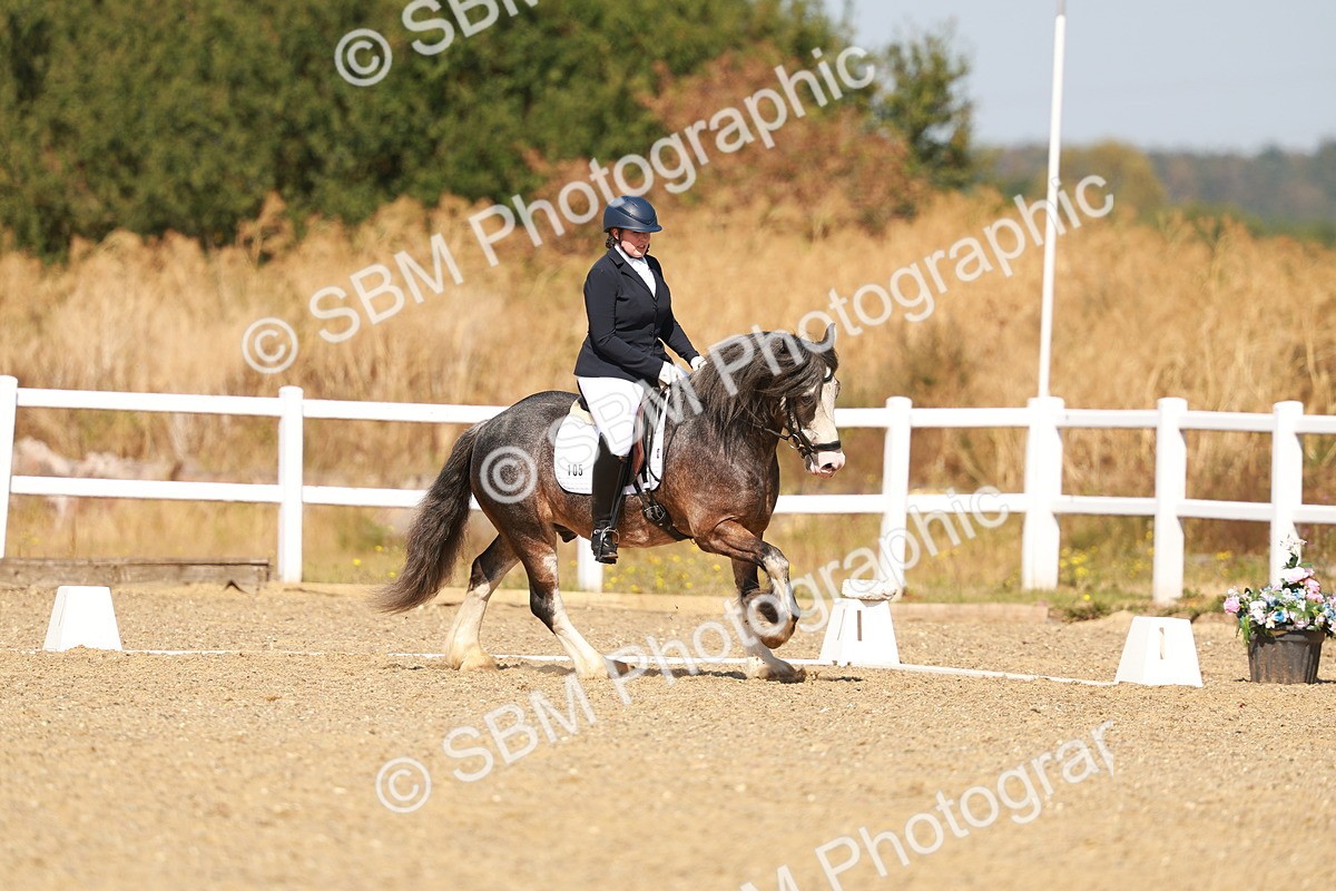 SBM_017772 - Class 9 - N5 Bronze 10.33.11.36