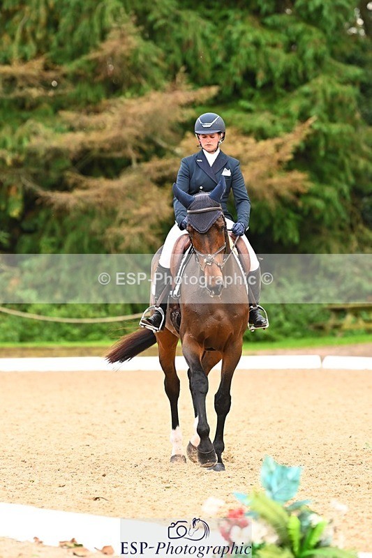 231020-150614-10085 - 312-HALVANNA.THE.LAST.SONG-Holly.Horton-DR