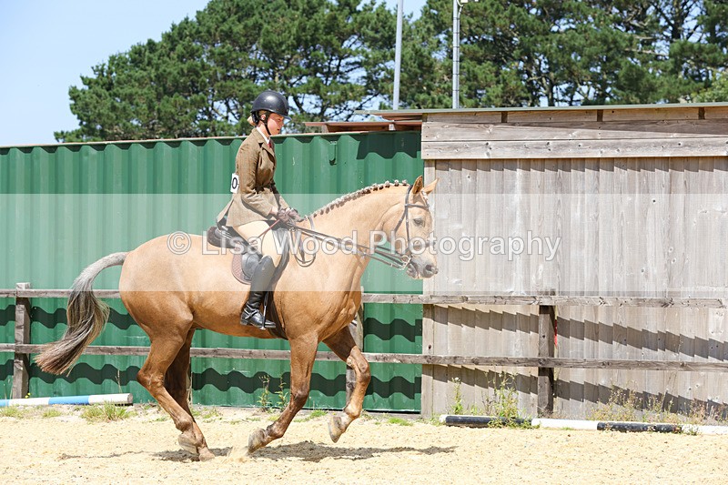 1X9A8802 - Class 19: Riding Club Horse