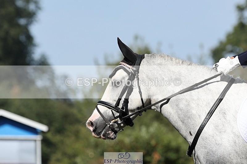 250823A-105722-27847 - Arena D