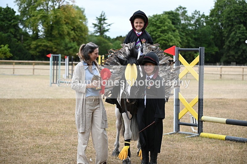 WJ6_9001 - Class 11 Fancy Dress