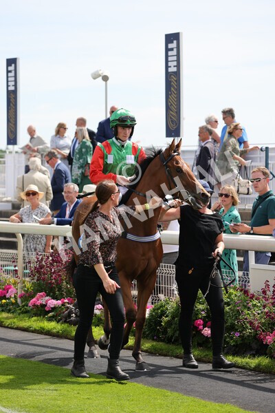 yr08072022r3-8 - Race 3 3.15pm William Hill Play Responsibly Irish EBF Novice Fillies Stakes