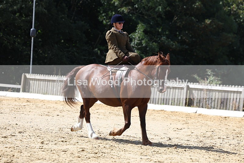 3E7A3541 - Class 7:  Preliminary Music