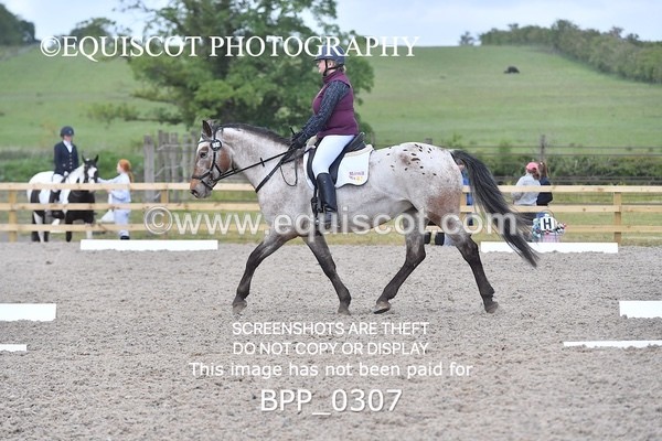 BPP_0307 - SHORT ARENA  MY QUEST PRELIM
