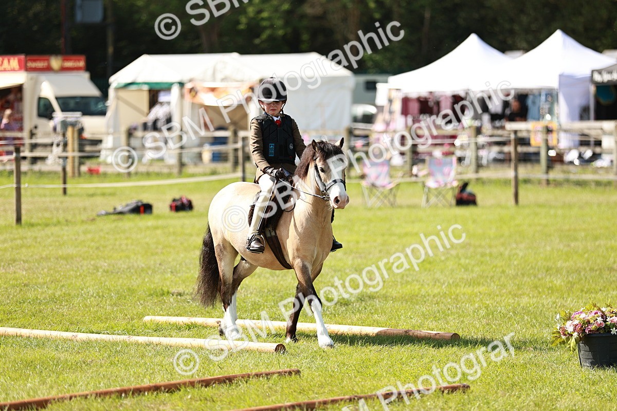 SBM_12692 - Class 106-107 - BSPS LIHS Working Sports Pony