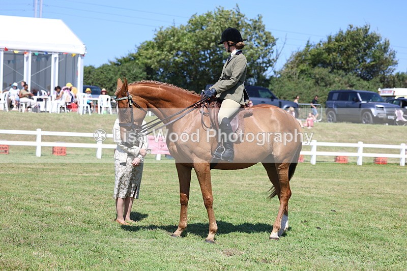 3E7A7820 - Class 7: Open Riding Horse