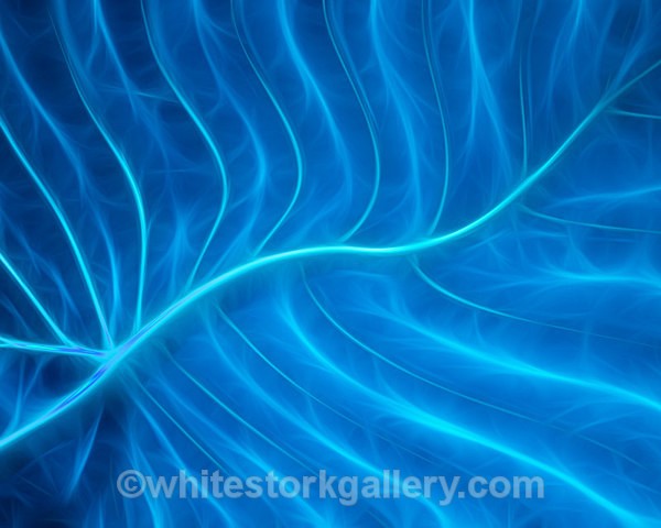 Spirit Leaf - Digital Art