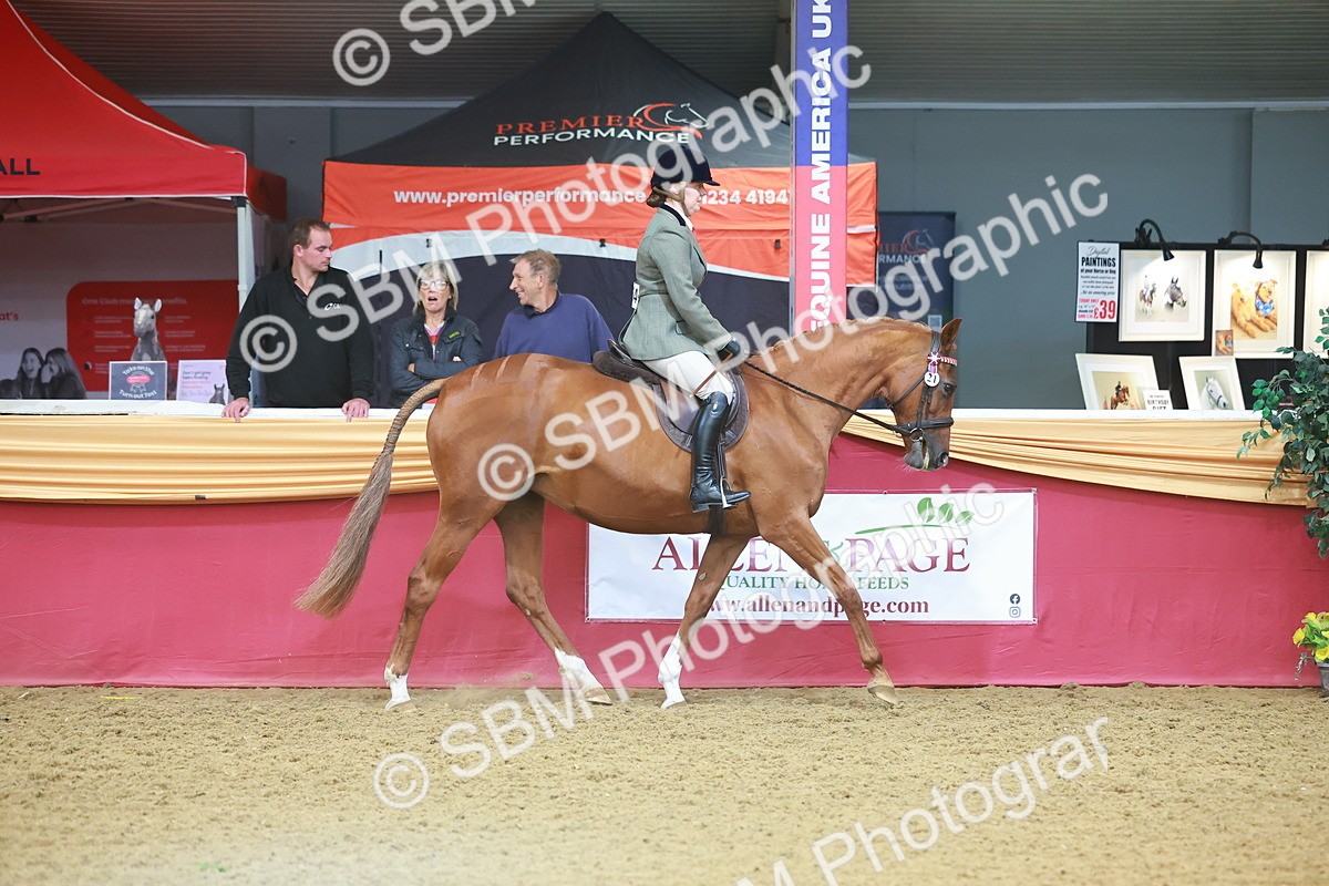 SBM_09612 - Class 102 - HOYS Veteran Qualifier - Ridden Veteran