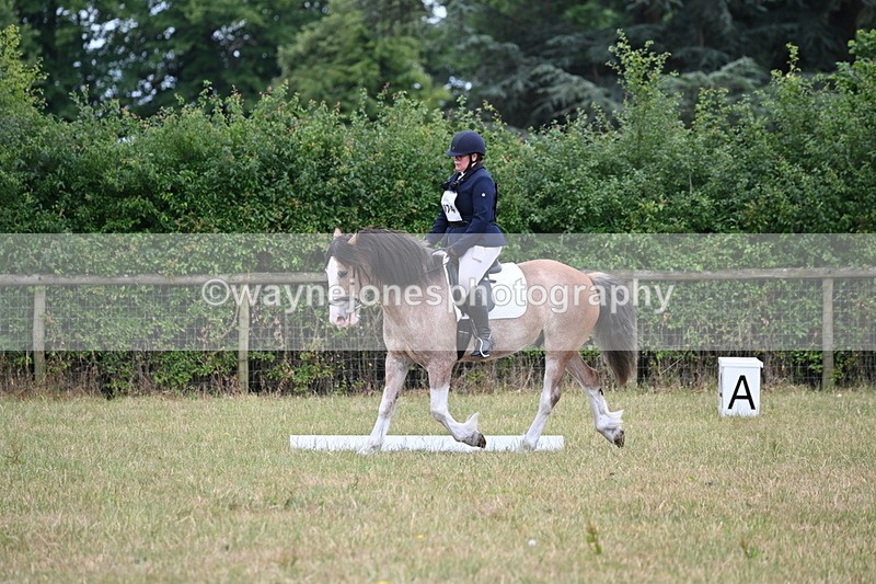 WJ6_3055 - Time 11:07 to 11:34