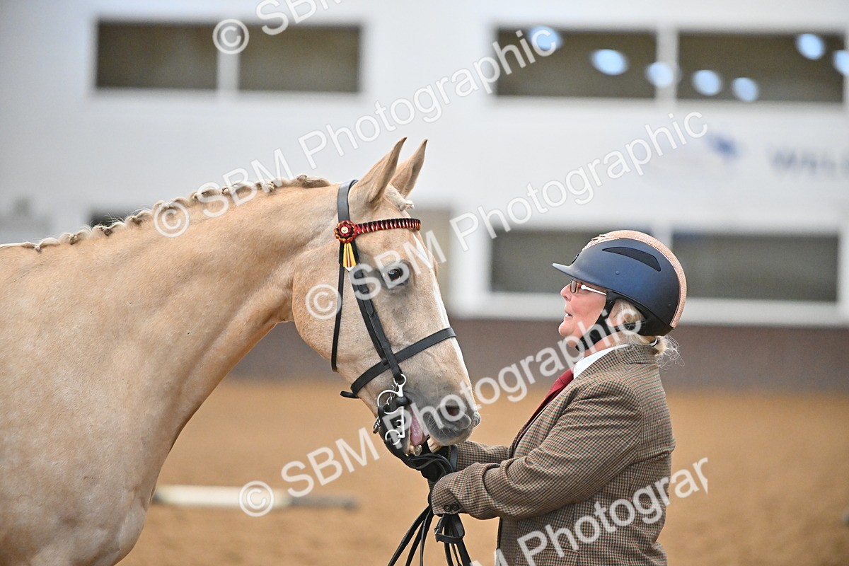 EB7_8415 - Class 3 - In Hand Foreign Breeds & Warmbloods